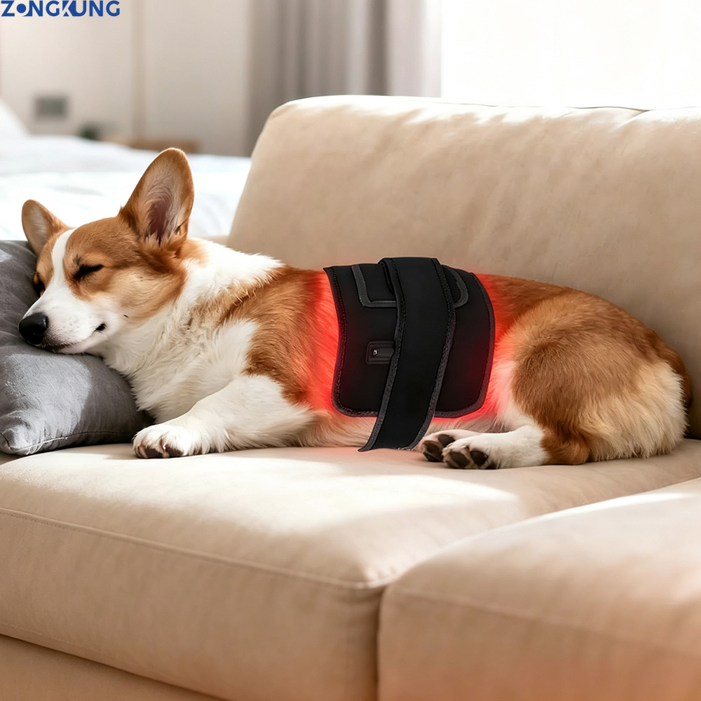 Red Light Therapy for Pets Vet - огляд і ціна Galvanic Skin Sensor